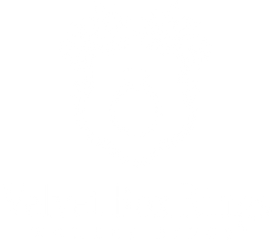 Velvet Box Rings